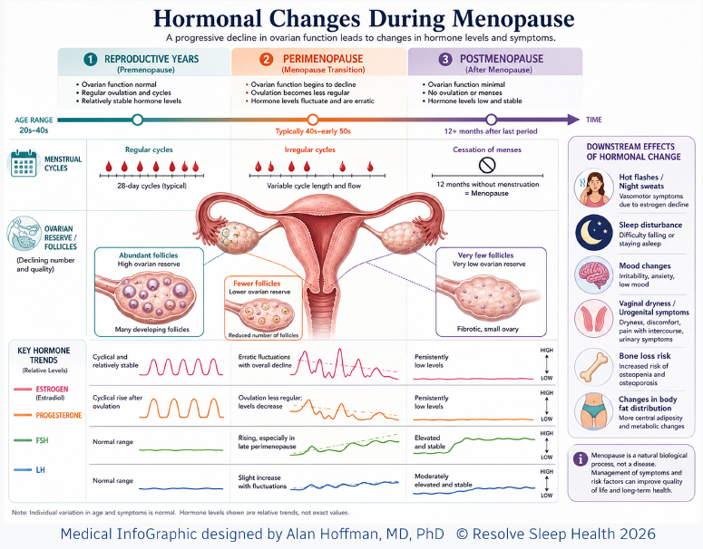 Infographic explaining how a progressive decline in ovarian function leads to changes in hormone levels and symptoms.